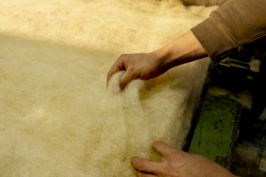 Wat zijn de kenmerken van wol?