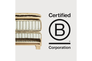 Wat betekent een B Corp hercertificering voor een microbedrijf