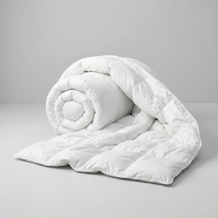 all seasons ganzendons dekbed