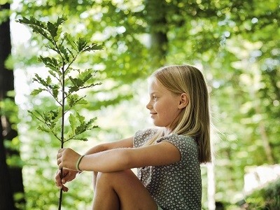 Blog Post Alternatief Voor Donzen Wollen En Dierlijk Dekbed En Kussen Tips Voor Veganisten Of Een Vegan Lifestyle