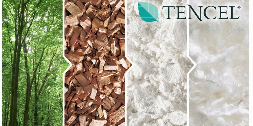 Eucalyptus houtpulp naar tencel / lyocell vezel